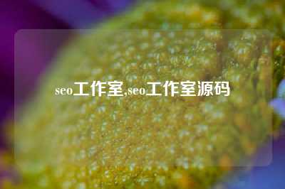 seo工作室,seo工作室源码