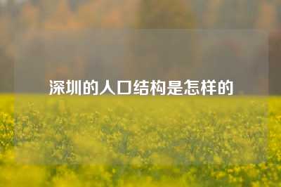 深圳的人口结构是怎样的