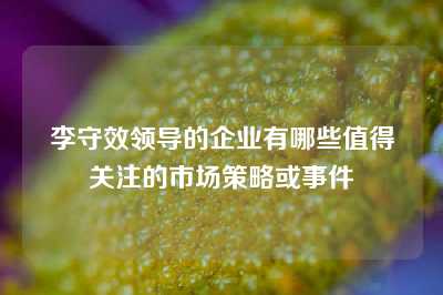 李守效领导的企业有哪些值得关注的市场策略或事件