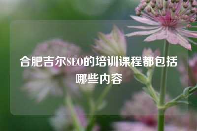 合肥吉尔SEO的培训课程都包括哪些内容