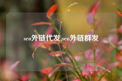 seo外链代发,seo外链群发