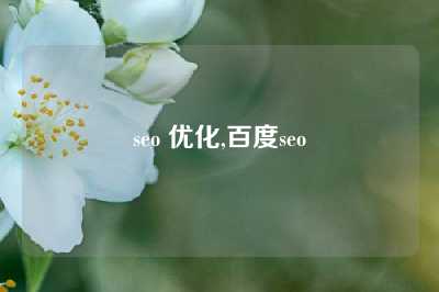 seo 优化,百度seo