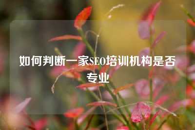 如何判断一家SEO培训机构是否专业