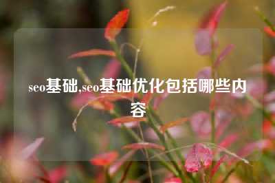 seo基础,seo基础优化包括哪些内容