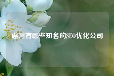 惠州有哪些知名的SEO优化公司