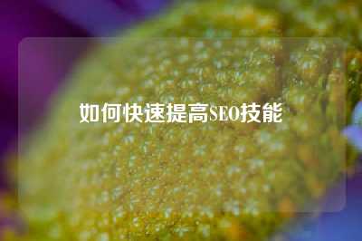 如何快速提高SEO技能