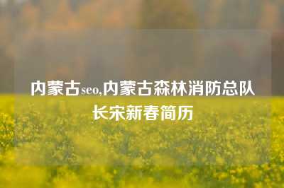 内蒙古seo,内蒙古森林消防总队长宋新春简历