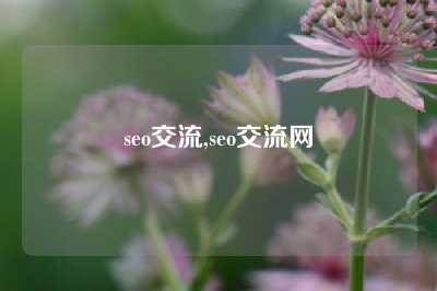 seo交流,seo交流网