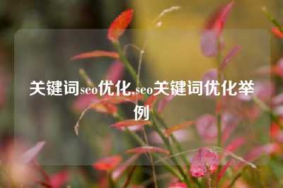 关键词seo优化,seo关键词优化举例