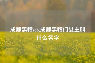 成都黑帽seo,成都黑帽门女主叫什么名字