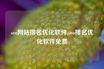 seo网站排名优化软件,seo排名优化软件免费