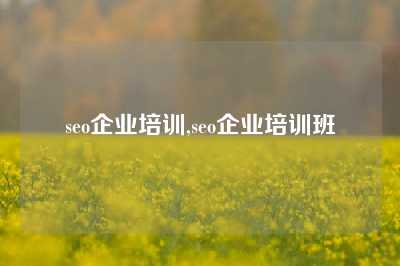 seo企业培训,seo企业培训班