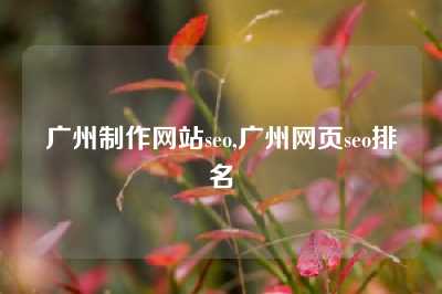 广州制作网站seo,广州网页seo排名