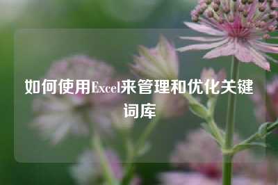 如何使用Excel来管理和优化关键词库