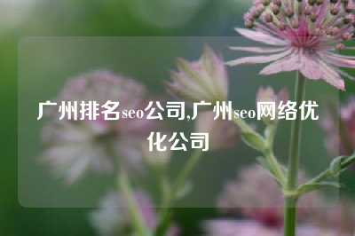 广州排名seo公司,广州seo网络优化公司