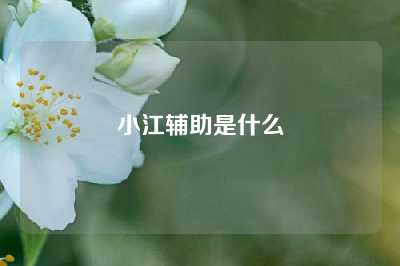 小江辅助是什么