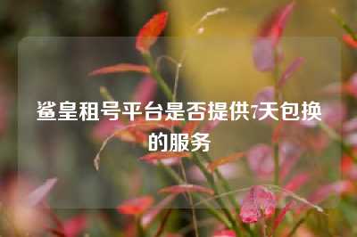 鲨皇租号平台是否提供7天包换的服务