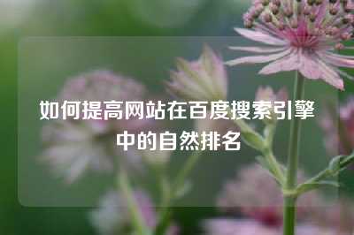 如何提高网站在百度搜索引擎中的自然排名