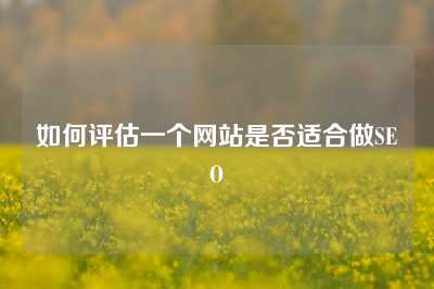 如何评估一个网站是否适合做SEO