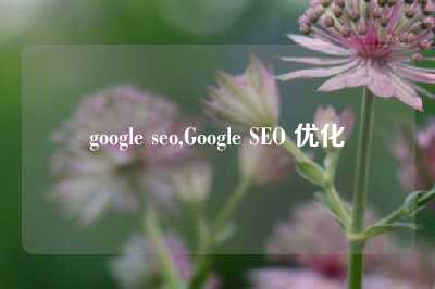 google seo,Google SEO 优化