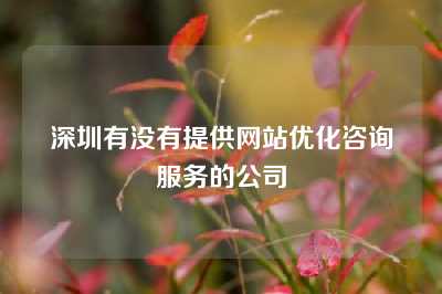 深圳有没有提供网站优化咨询服务的公司