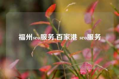 福州seo服务,百家港 seo服务