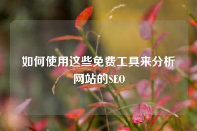 如何使用这些免费工具来分析网站的SEO