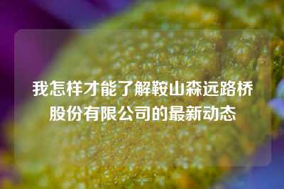 我怎样才能了解鞍山森远路桥股份有限公司的最新动态