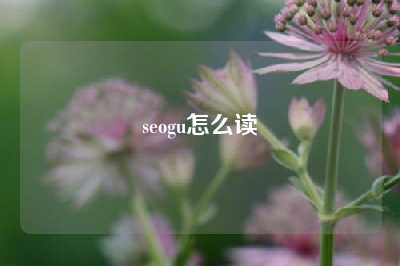 seogu怎么读