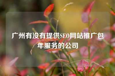 广州有没有提供SEO网站推广包年服务的公司