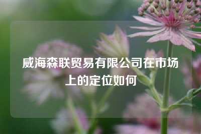 威海森联贸易有限公司在市场上的定位如何