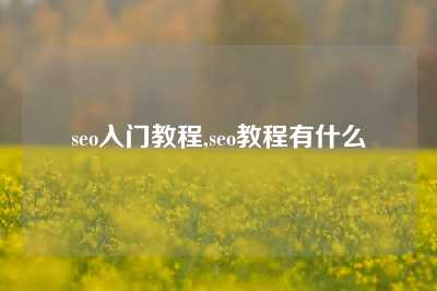 seo入门教程,seo教程有什么