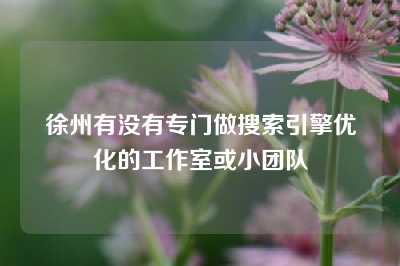 徐州有没有专门做搜索引擎优化的工作室或小团队