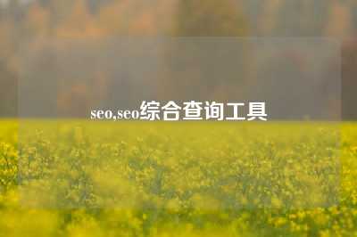 seo,seo综合查询工具