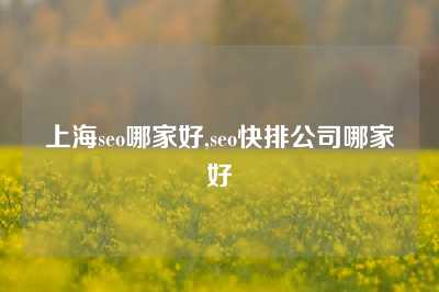 上海seo哪家好,seo快排公司哪家好