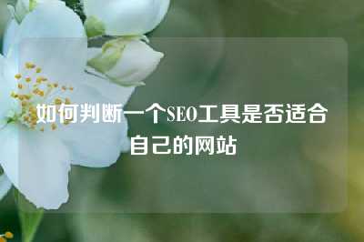 如何判断一个SEO工具是否适合自己的网站