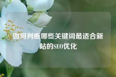 如何判断哪些关键词最适合新站的SEO优化