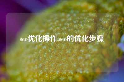 seo优化操作,seo的优化步骤