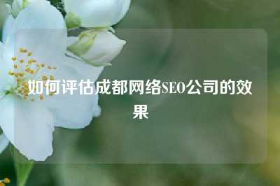 如何评估成都网络SEO公司的效果