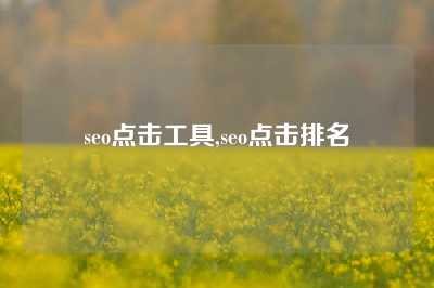 seo点击工具,seo点击排名