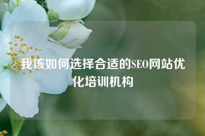 我该如何选择合适的SEO网站优化培训机构