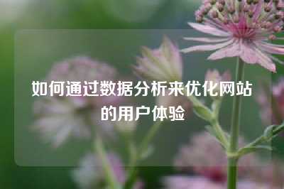 如何通过数据分析来优化网站的用户体验