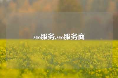 seo服务,seo服务商