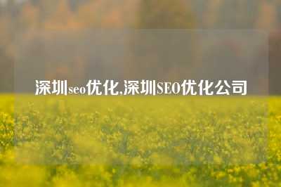 深圳seo优化,深圳SEO优化公司