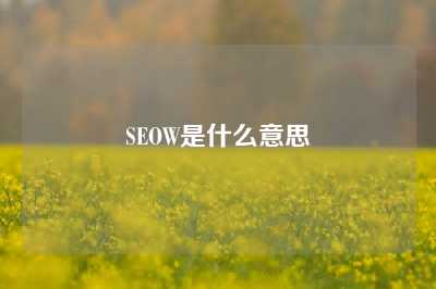 SEOW是什么意思