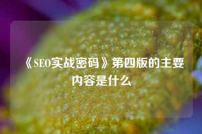 《SEO实战密码》第四版的主要内容是什么