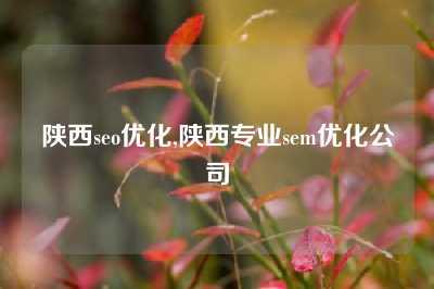 陕西seo优化,陕西专业sem优化公司