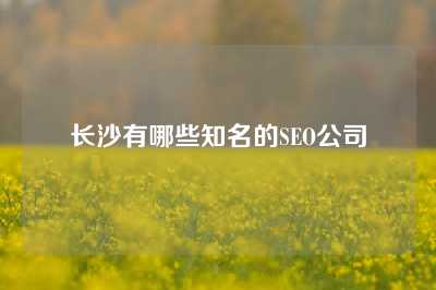 长沙有哪些知名的SEO公司