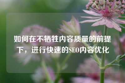 如何在不牺牲内容质量的前提下，进行快速的SEO内容优化