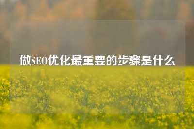 做SEO优化最重要的步骤是什么